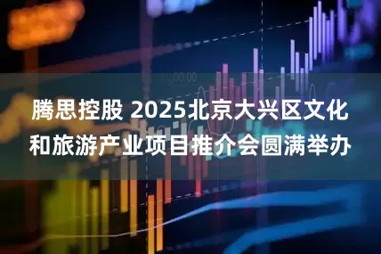 腾思控股 2025北京大兴区文化和旅游产业项目推介会圆满举办